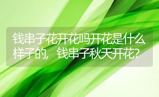 钱串子花开花吗开花是什么样子的,钱串子秋天开花？ | 养殖常见问题