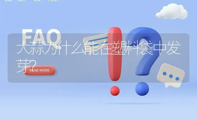 大蒜为什么能在塑料袋中发芽? | 养殖问题解答