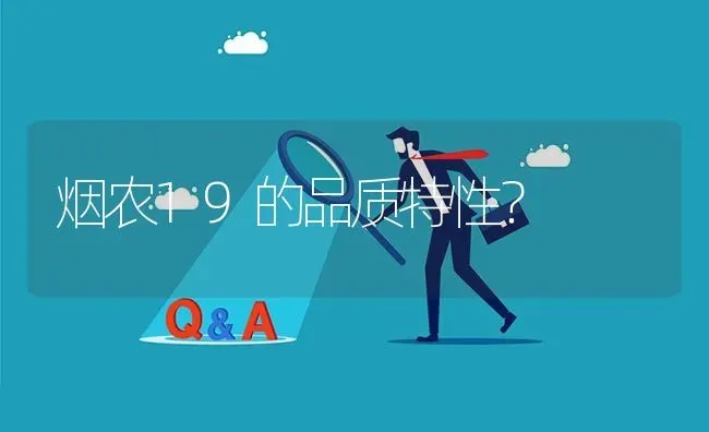 烟农19的品质特性? | 养殖问题解答