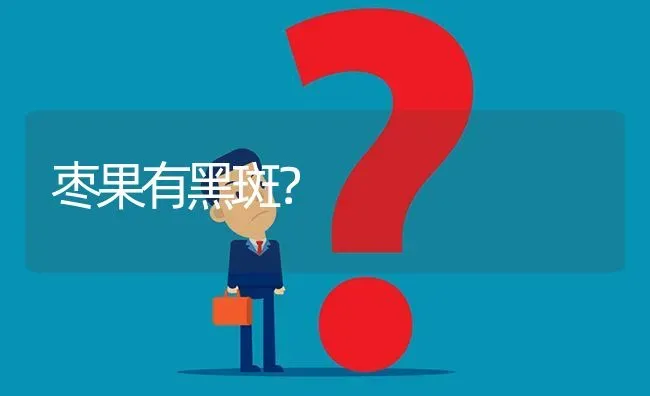 枣果有黑斑? | 养殖问题解答