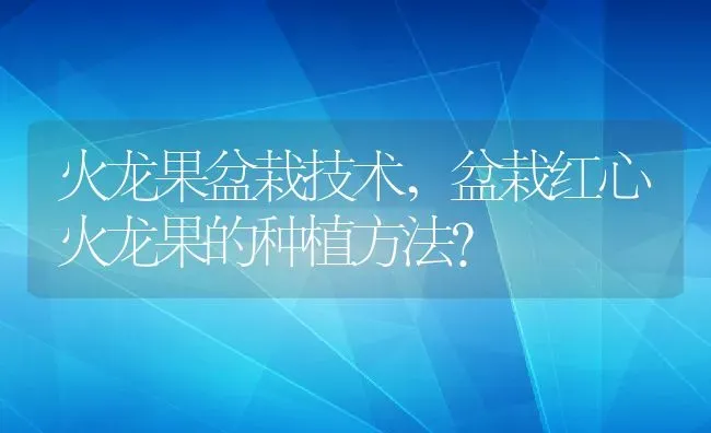 火龙果盆栽技术,盆栽红心火龙果的种植方法？ | 养殖常见问题