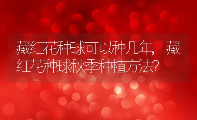 藏红花种球可以种几年,藏红花种球秋季种植方法？ | 养殖常见问题