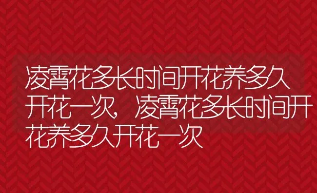 六种寓意好的水果,哪些水果的寓意吉祥？ | 养殖常见问题