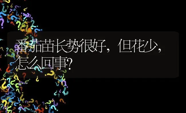 番茄苗长势很好,但花少,怎么回事? | 养殖问题解答