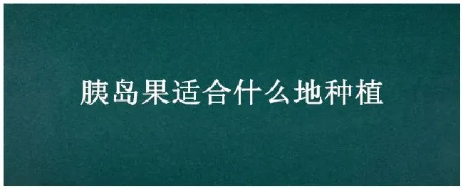 胰岛果适合什么地种植 | 三农答疑