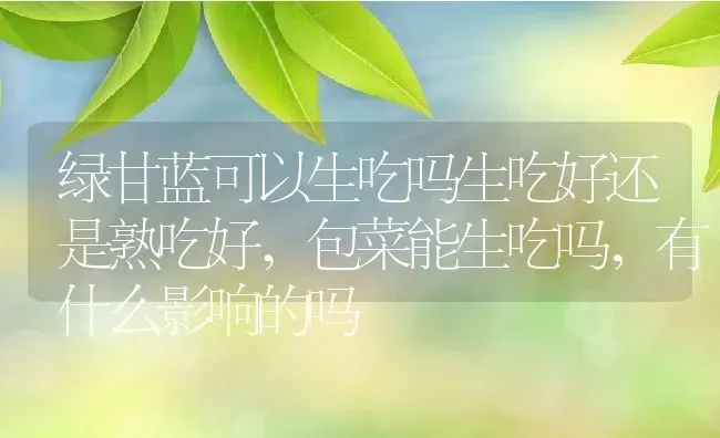 绿甘蓝可以生吃吗生吃好还是熟吃好,包菜能生吃吗，有什么影响的吗 | 养殖常见问题