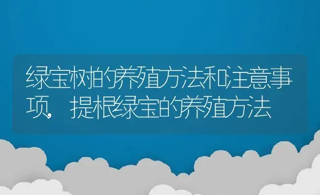 绿宝树的养殖方法和注意事项,提根绿宝的养殖方法 | 养殖常见问题