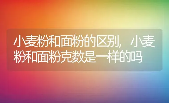 小麦粉和面粉的区别,小麦粉和面粉克数是一样的吗 | 养殖常见问题