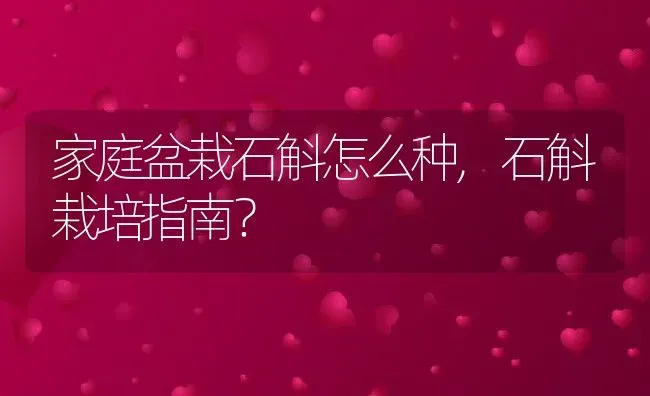 家庭盆栽石斛怎么种,石斛栽培指南？ | 养殖常见问题