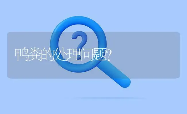 鸭粪的处理问题? | 养殖问题解答