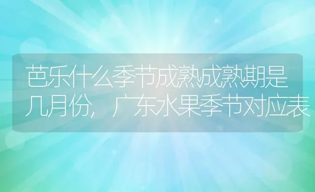 芭乐什么季节成熟成熟期是几月份,广东水果季节对应表 | 养殖常见问题