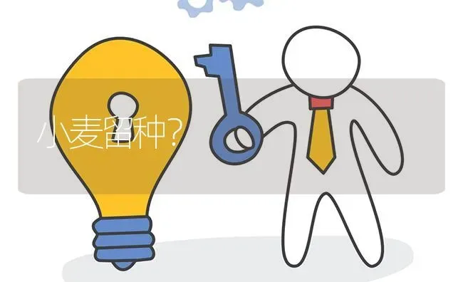 小麦留种? | 养殖问题解答