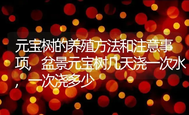 元宝树的养殖方法和注意事项,盆景元宝树几天浇一次水,一次浇多少 | 养殖常见问题