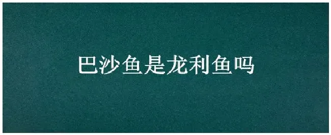 巴沙鱼是龙利鱼吗 | 生活常识