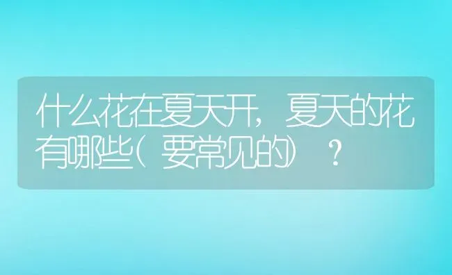 什么花在夏天开,夏天的花有哪些(要常见的)？ | 养殖常见问题