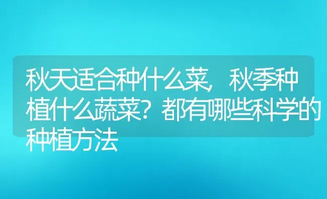 秋天适合种什么菜,秋季种植什么蔬菜？都有哪些科学的种植方法 | 养殖常见问题