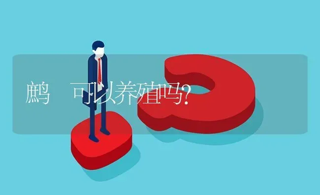 鹧鴣可以养殖吗? | 养殖问题解答