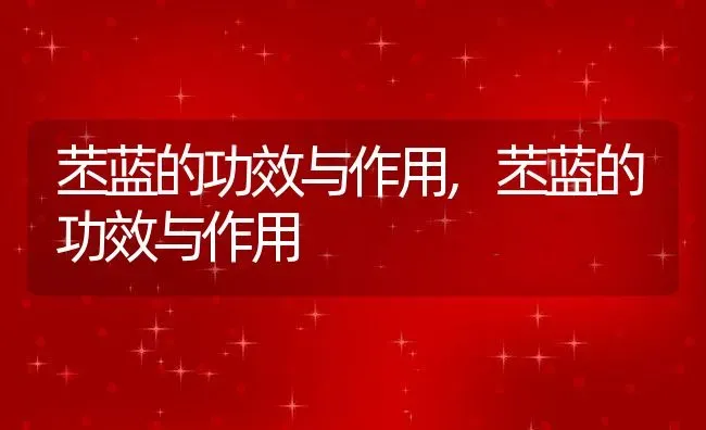 苤蓝的功效与作用,苤蓝的功效与作用 | 养殖常见问题