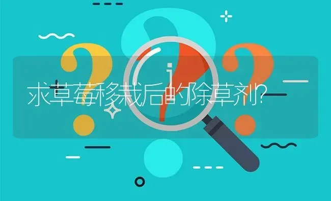 求草莓移栽后的除草剂? | 养殖问题解答