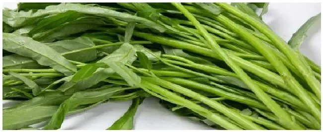 空心菜为什么不吃叶子 | 三农问答