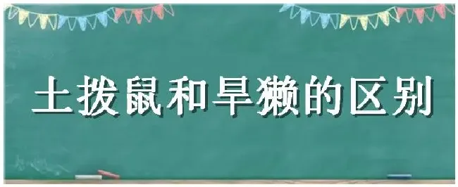 土拨鼠和旱獭的区别 | 三农问答