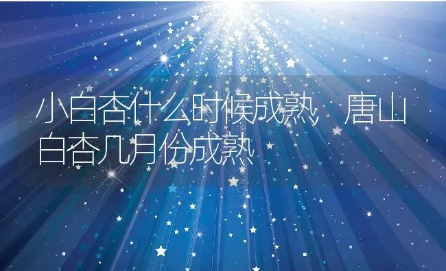 柰子是什么水果,柰子是什么水果？ | 养殖常见问题