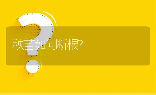 秧苗如何断根? | 养殖问题解答