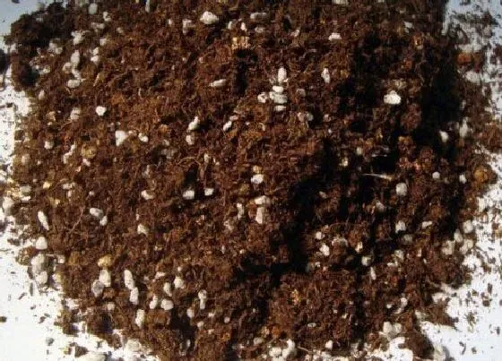 植物常识问题|家庭养花营养土配制的方法（自制栽花营养土5大配方）