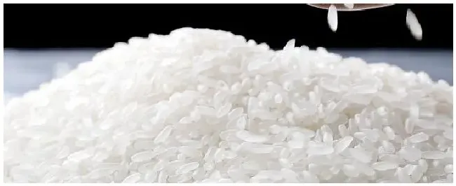 大米保存方法 | 科普知识