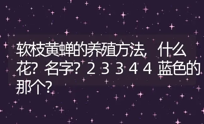 软枝黄蝉的养殖方法,什么花？名字？23344蓝色的那个？ | 养殖常见问题