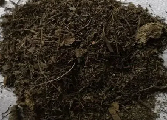 植物常识问题|家庭养花营养土配制的方法（自制栽花营养土5大配方）