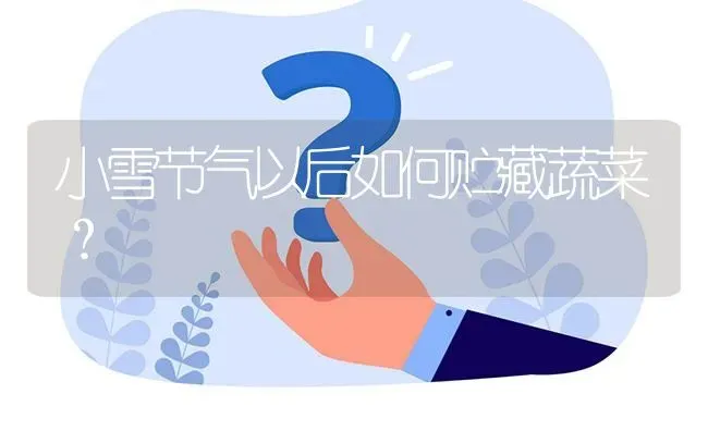 小雪节气以后如何贮藏蔬菜? | 养殖问题解答