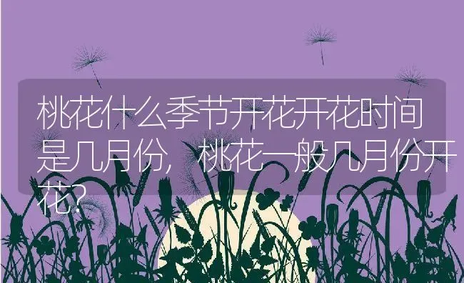 桃花什么季节开花开花时间是几月份,桃花一般几月份开花？ | 养殖常见问题