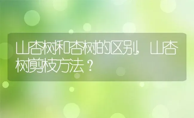 山杏树和杏树的区别,山杏树剪枝方法？ | 养殖常见问题