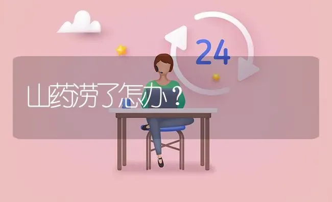 山药涝了怎办? | 养殖问题解答
