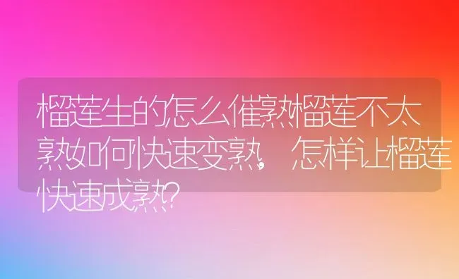 榴莲生的怎么催熟榴莲不太熟如何快速变熟,怎样让榴莲快速成熟？ | 养殖常见问题