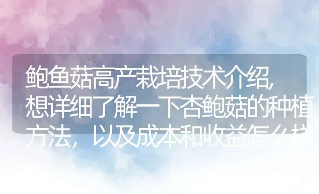 鲍鱼菇高产栽培技术介绍,想详细了解一下杏鲍菇的种植方法，以及成本和收益怎么样 | 养殖常见问题