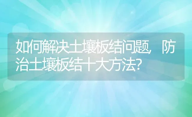 如何解决土壤板结问题,防治土壤板结十大方法？ | 养殖常见问题