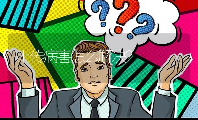 土传病害怎么解决? | 养殖问题解答