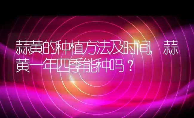 蒜黄的种植方法及时间,蒜黄一年四季能种吗？ | 养殖常见问题
