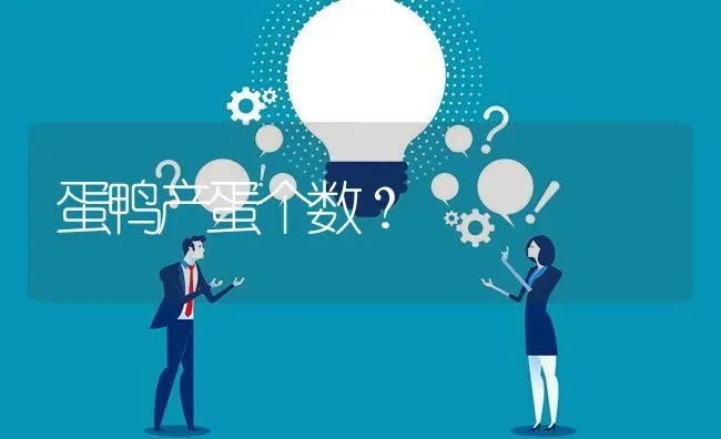 蛋鸭产蛋个数? | 养殖问题解答