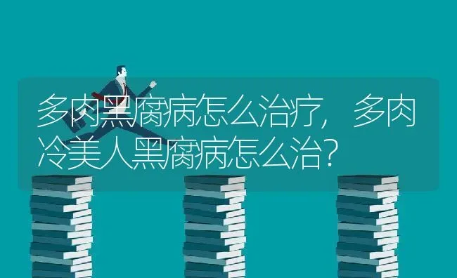 多肉黑腐病怎么治疗,多肉冷美人黑腐病怎么治？ | 养殖常见问题