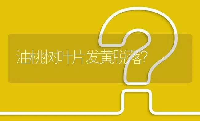 油桃树叶片发黄脱落? | 养殖问题解答