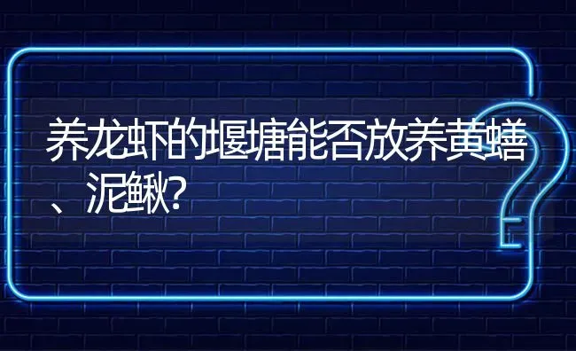 养龙虾的堰塘能否放养黄蟮、泥鳅? | 养殖问题解答