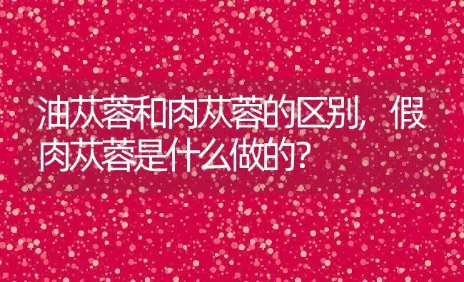 油苁蓉和肉苁蓉的区别,假肉苁蓉是什么做的？ | 养殖常见问题
