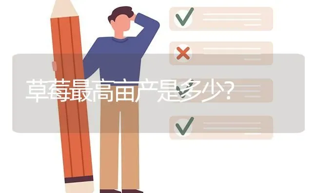 草莓最高亩产是多少? | 养殖问题解答