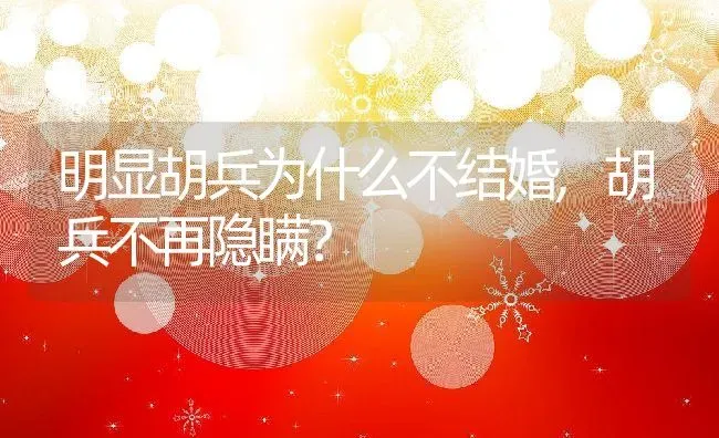 明显胡兵为什么不结婚,胡兵不再隐瞒？ | 养殖常见问题