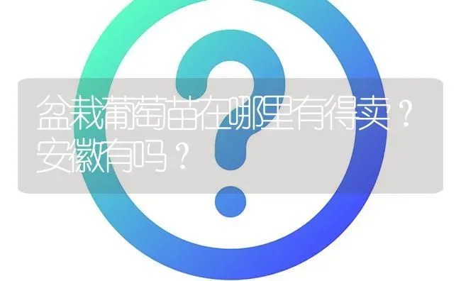 盆栽葡萄苗在哪里有得卖?安徽有吗? | 养殖问题解答