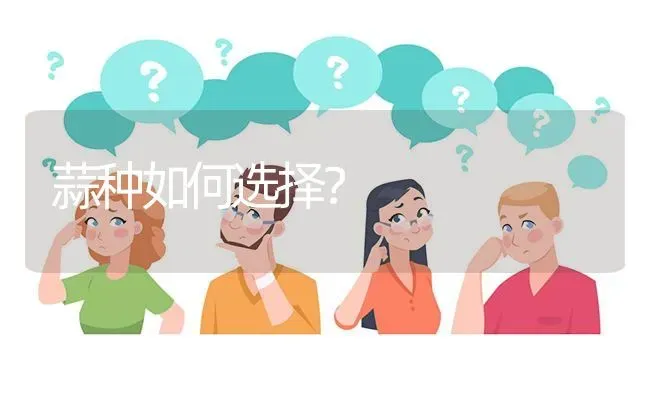 蒜种如何选择? | 养殖问题解答