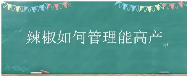 辣椒如何管理能高产 | 三农答疑